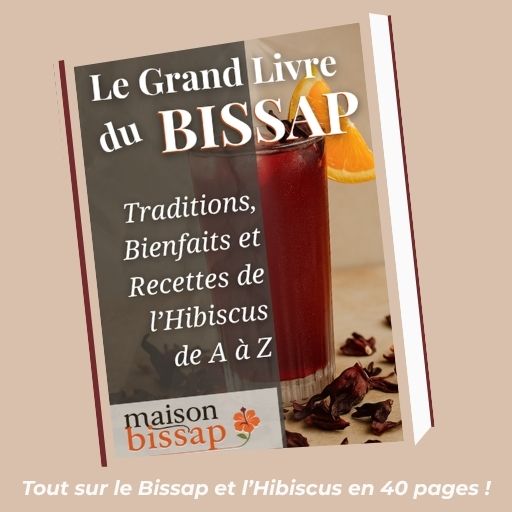E-Book | LE GRAND LIVRE DU BISSAP