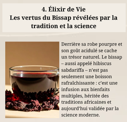E-Book | LE GRAND LIVRE DU BISSAP