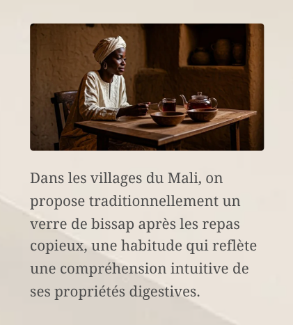 E-Book | LE GRAND LIVRE DU BISSAP