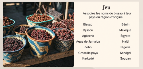 E-Book | LE GRAND LIVRE DU BISSAP