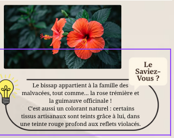 E-Book | LE GRAND LIVRE DU BISSAP