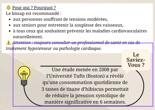 E-Book | LE GRAND LIVRE DU BISSAP