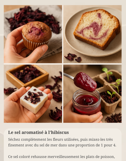 E-Book | LE GRAND LIVRE DU BISSAP