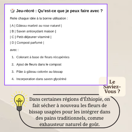 E-Book | LE GRAND LIVRE DU BISSAP