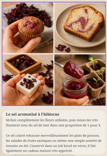E-Book | LE GRAND LIVRE DU BISSAP