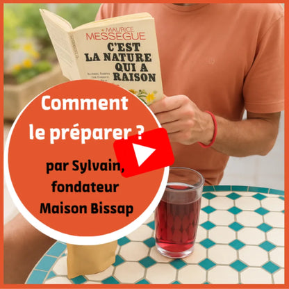 BISSAP PUR HIBISCUS BIO